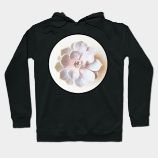 Pink Succulent II Hoodie